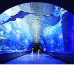 小峠英二が坂口杏里とのデートしたエプソン品川の水族館がスゴイ！画像でチェック！